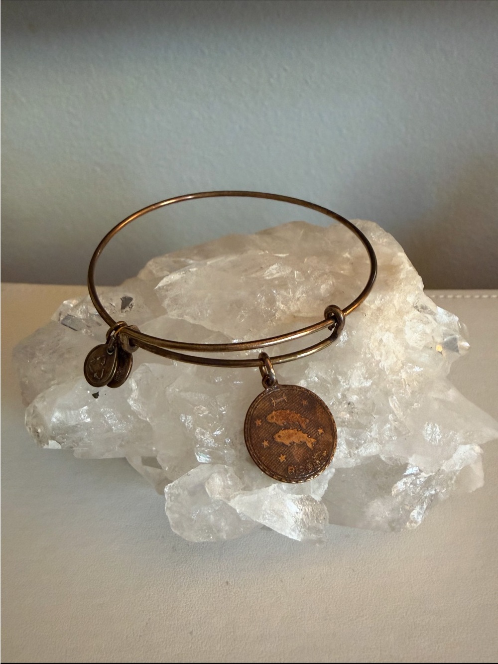 Alex and Ani Bronze Tone Charm Bangle Bracelet with Round Pendant